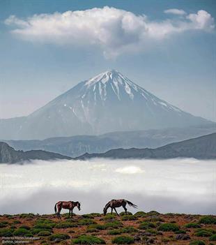 Damavand